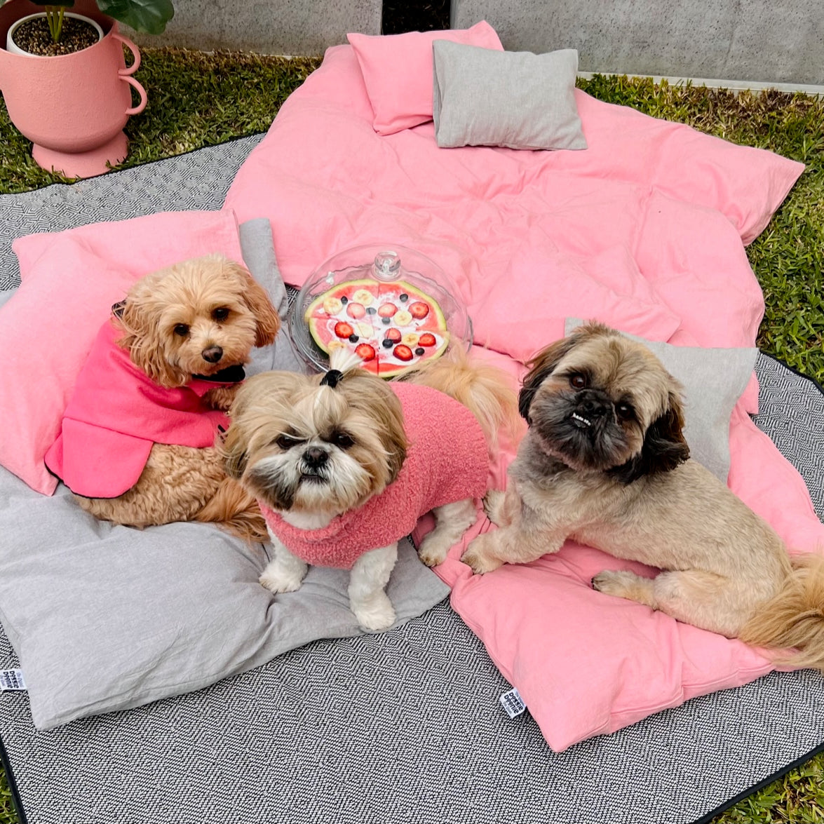 Watermelon Pizza Recipe for Dogs