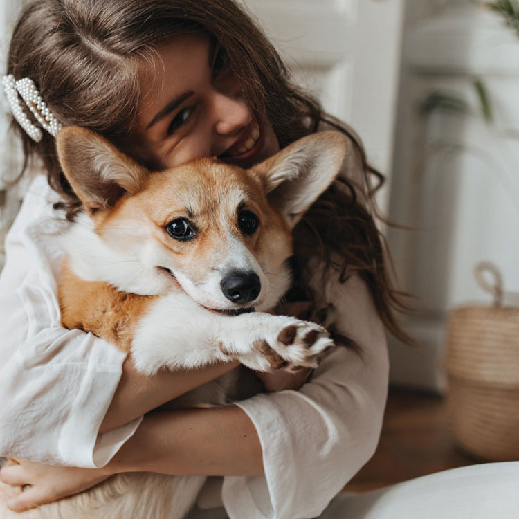 Why Dogs Are the Best Companions You Can Have