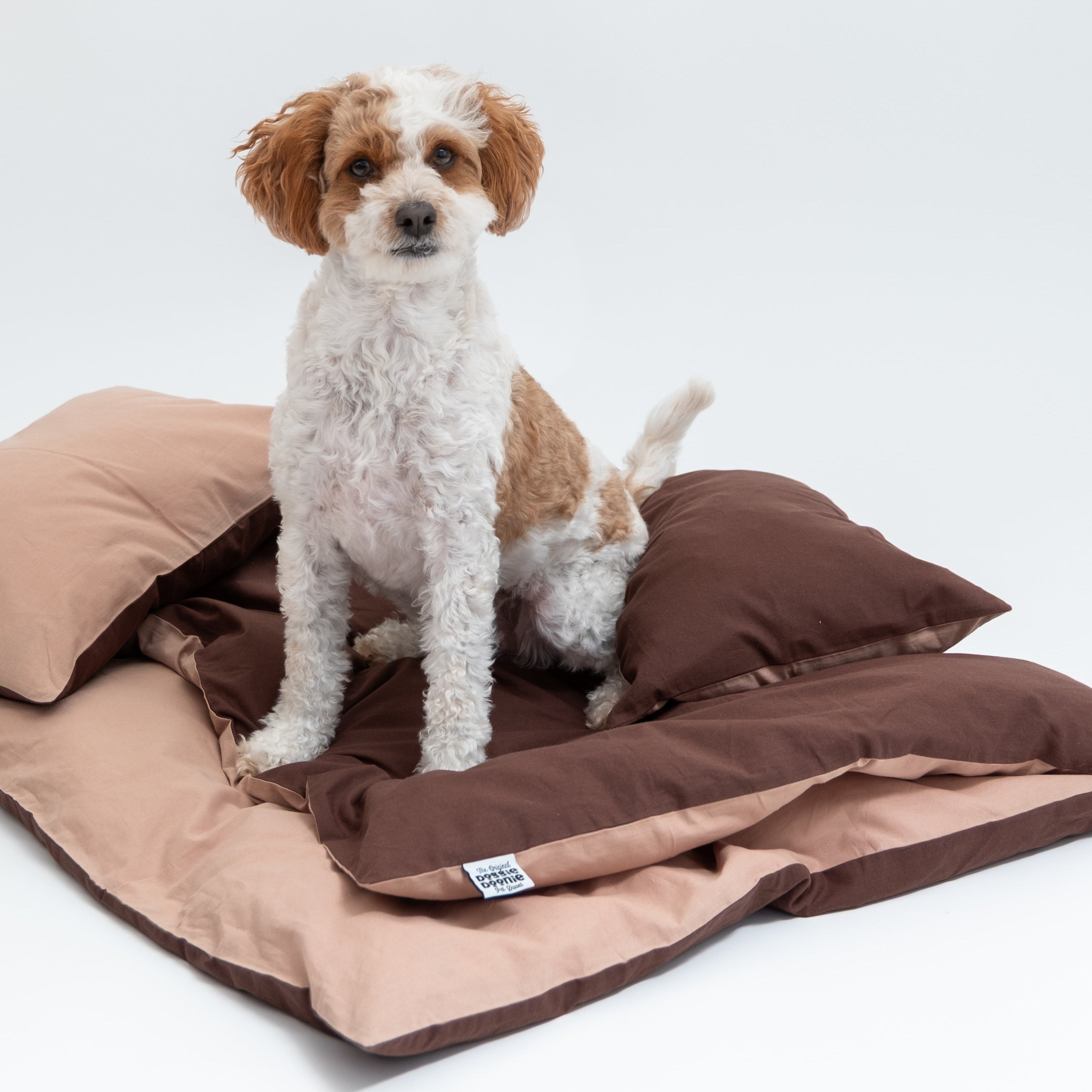 NEW COLOUR DROP - MochaDoodle